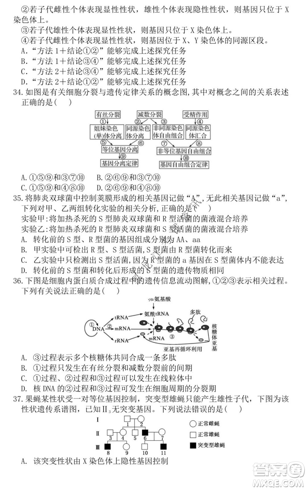 黑龍江2021-2022學(xué)年度上學(xué)期八校期中聯(lián)合考試高三生物試題及答案