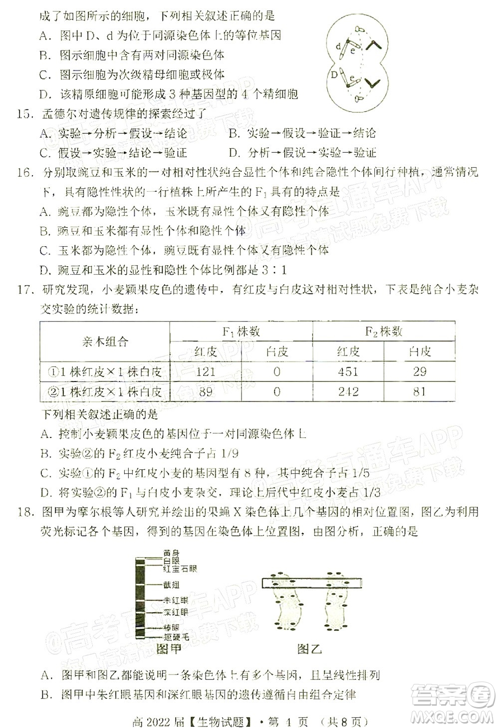 重慶市名校聯(lián)盟2021-2022學(xué)年度第一次聯(lián)合考試生物試題及答案