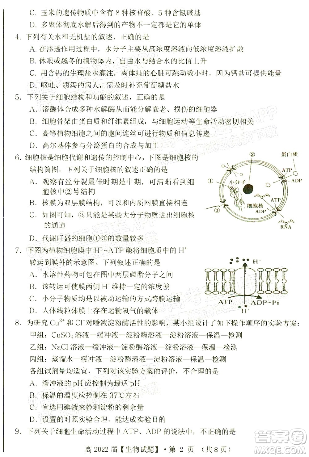 重慶市名校聯(lián)盟2021-2022學(xué)年度第一次聯(lián)合考試生物試題及答案