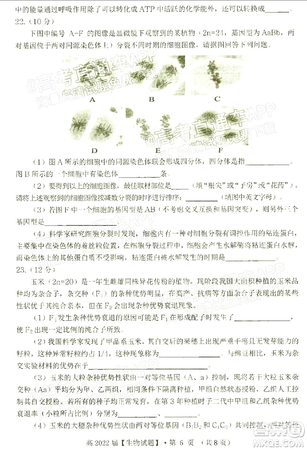 重慶市名校聯(lián)盟2021-2022學(xué)年度第一次聯(lián)合考試生物試題及答案