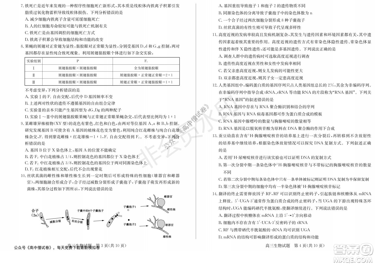 山東省德州市2021-2022學年高三上學期期中考試生物試題及答案