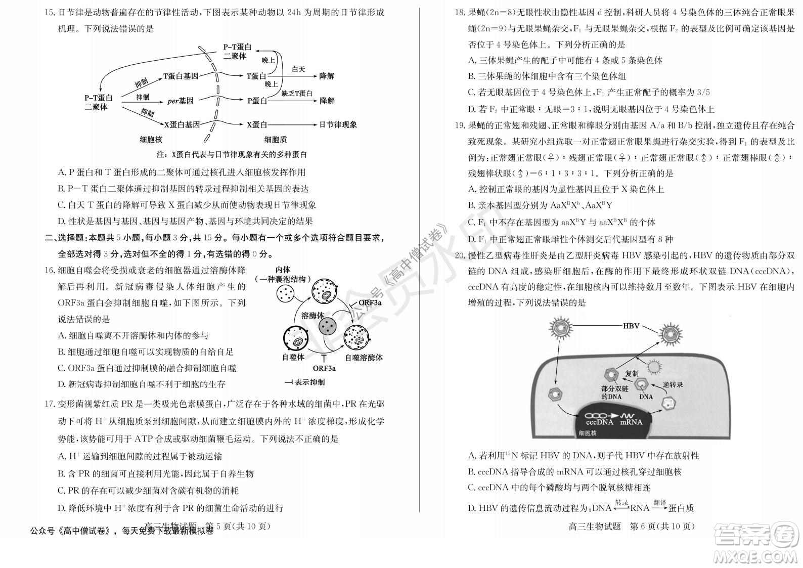 山東省德州市2021-2022學年高三上學期期中考試生物試題及答案