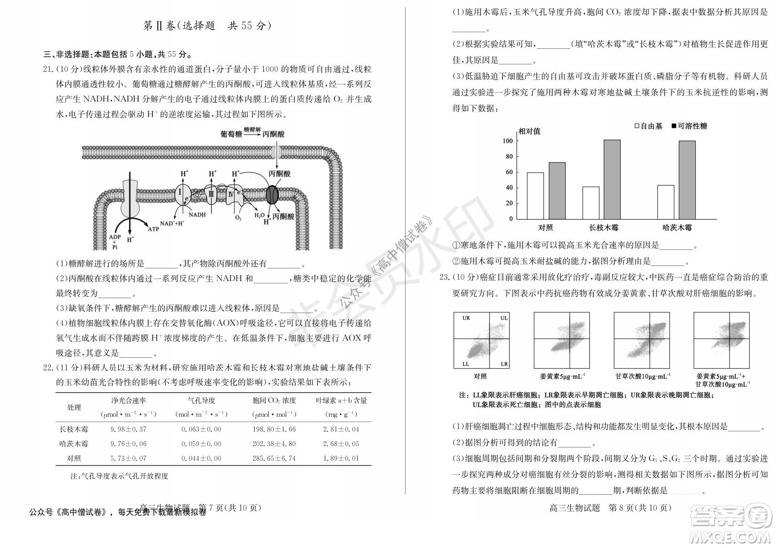 山東省德州市2021-2022學年高三上學期期中考試生物試題及答案