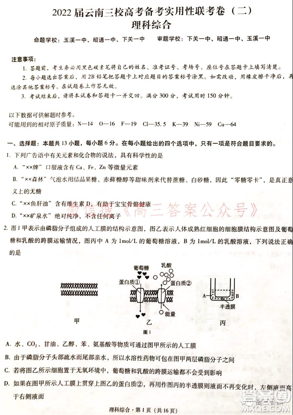 2022屆云南三校高考備考實(shí)用性聯(lián)考卷二理科綜合試題及答案