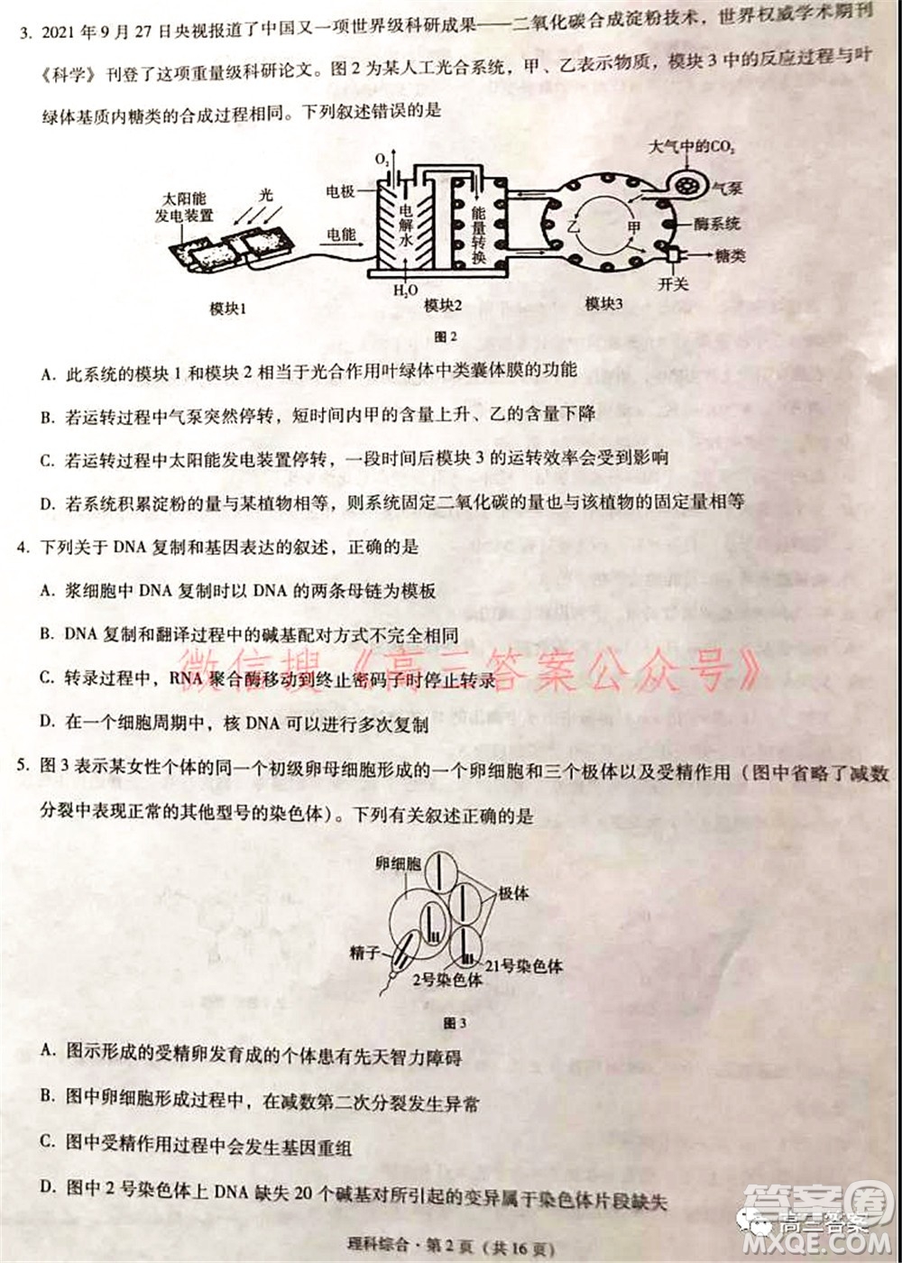 2022屆云南三校高考備考實(shí)用性聯(lián)考卷二理科綜合試題及答案