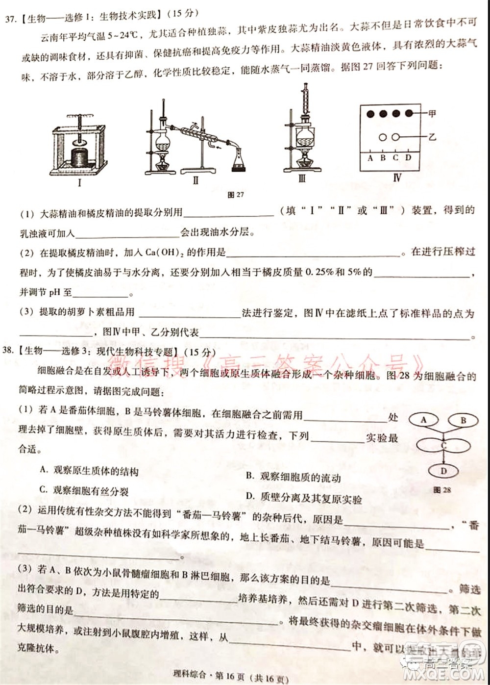 2022屆云南三校高考備考實(shí)用性聯(lián)考卷二理科綜合試題及答案