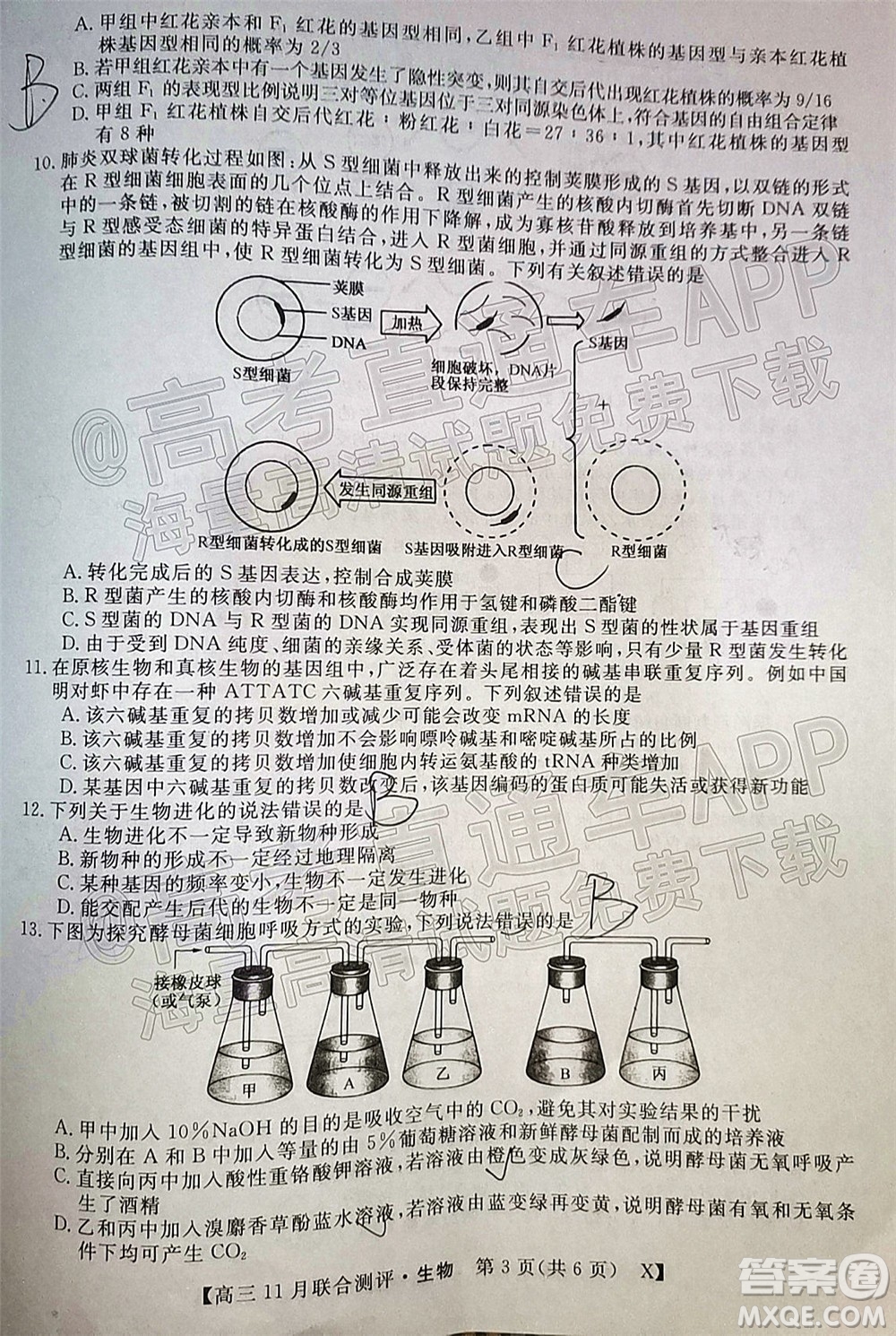 2022屆福建高三11月聯(lián)合測(cè)評(píng)生物試題及答案