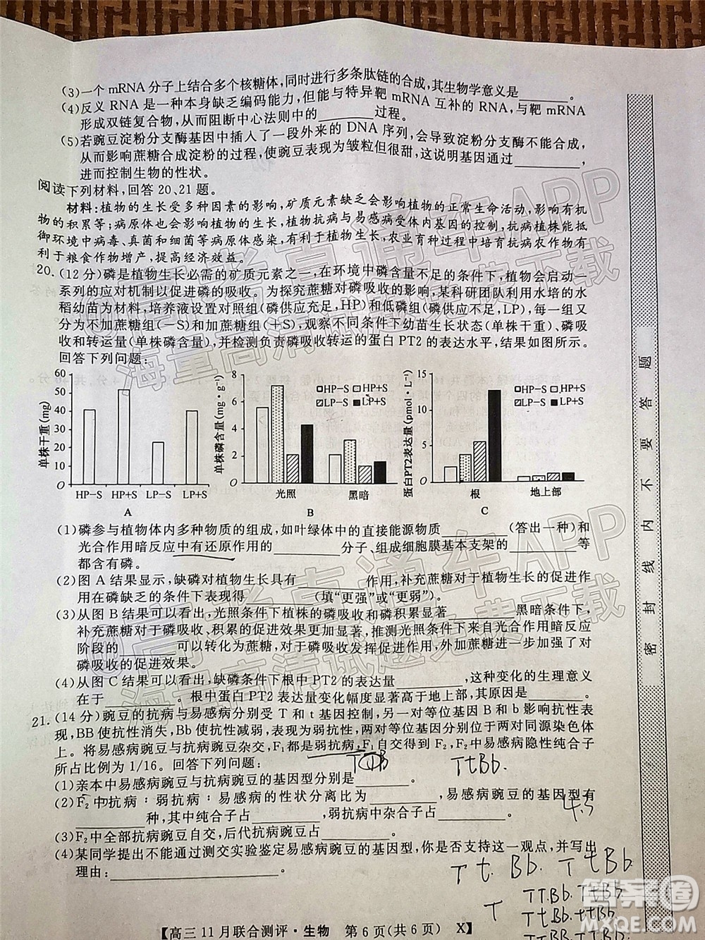 2022屆福建高三11月聯(lián)合測(cè)評(píng)生物試題及答案