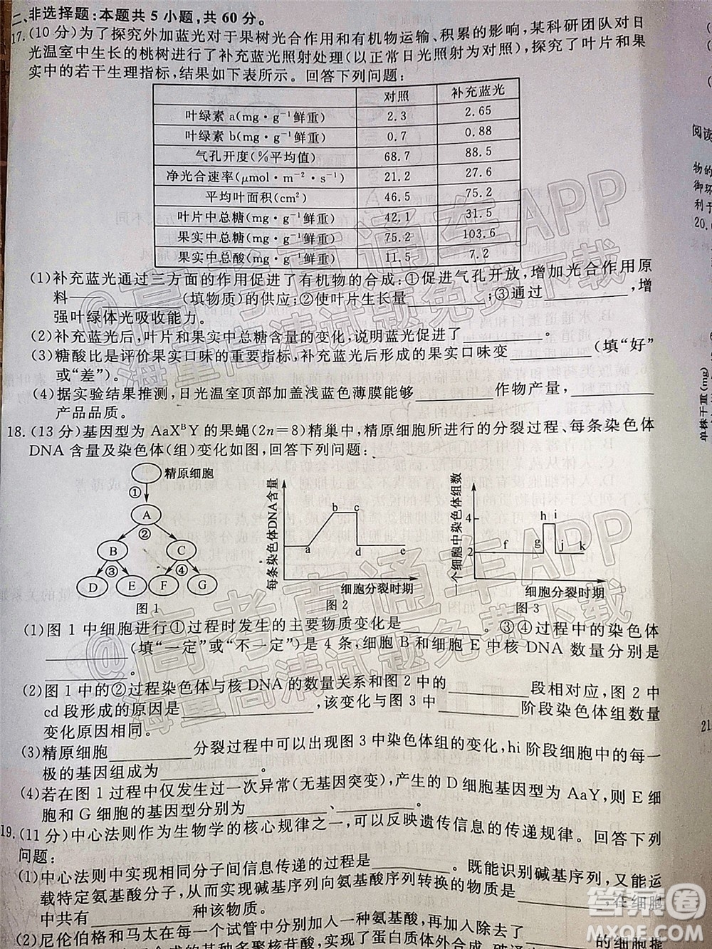 2022屆福建高三11月聯(lián)合測(cè)評(píng)生物試題及答案