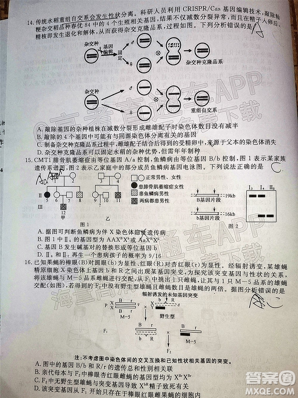 2022屆福建高三11月聯(lián)合測(cè)評(píng)生物試題及答案