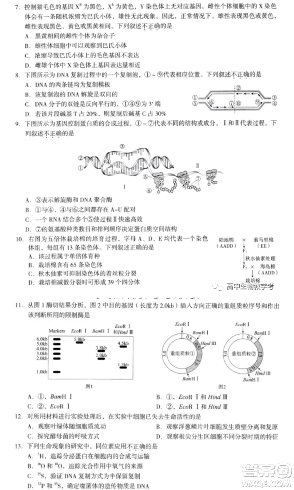 北京海淀區(qū)2021-2022學年第一學期期中練習高三生物學試卷及答案