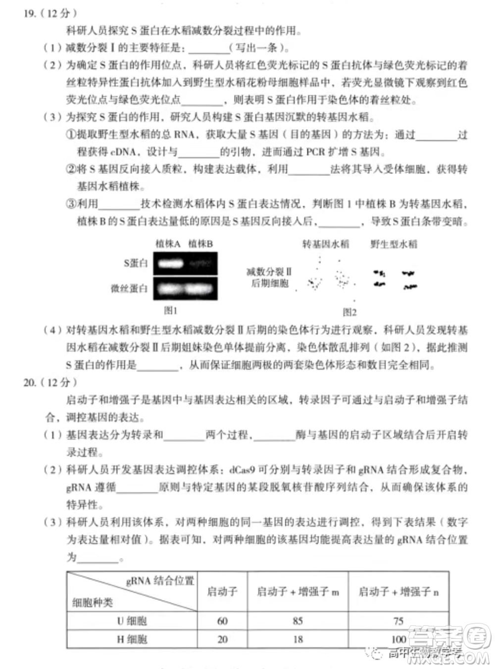 北京海淀區(qū)2021-2022學年第一學期期中練習高三生物學試卷及答案