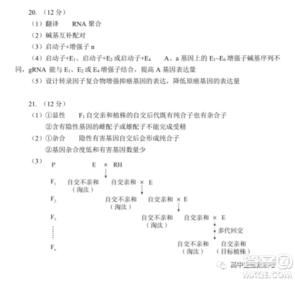 北京海淀區(qū)2021-2022學年第一學期期中練習高三生物學試卷及答案