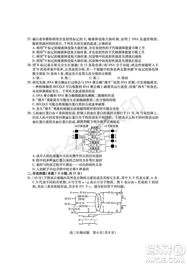 運城市2021高三年級期中調(diào)研測試生物試題試卷及答案