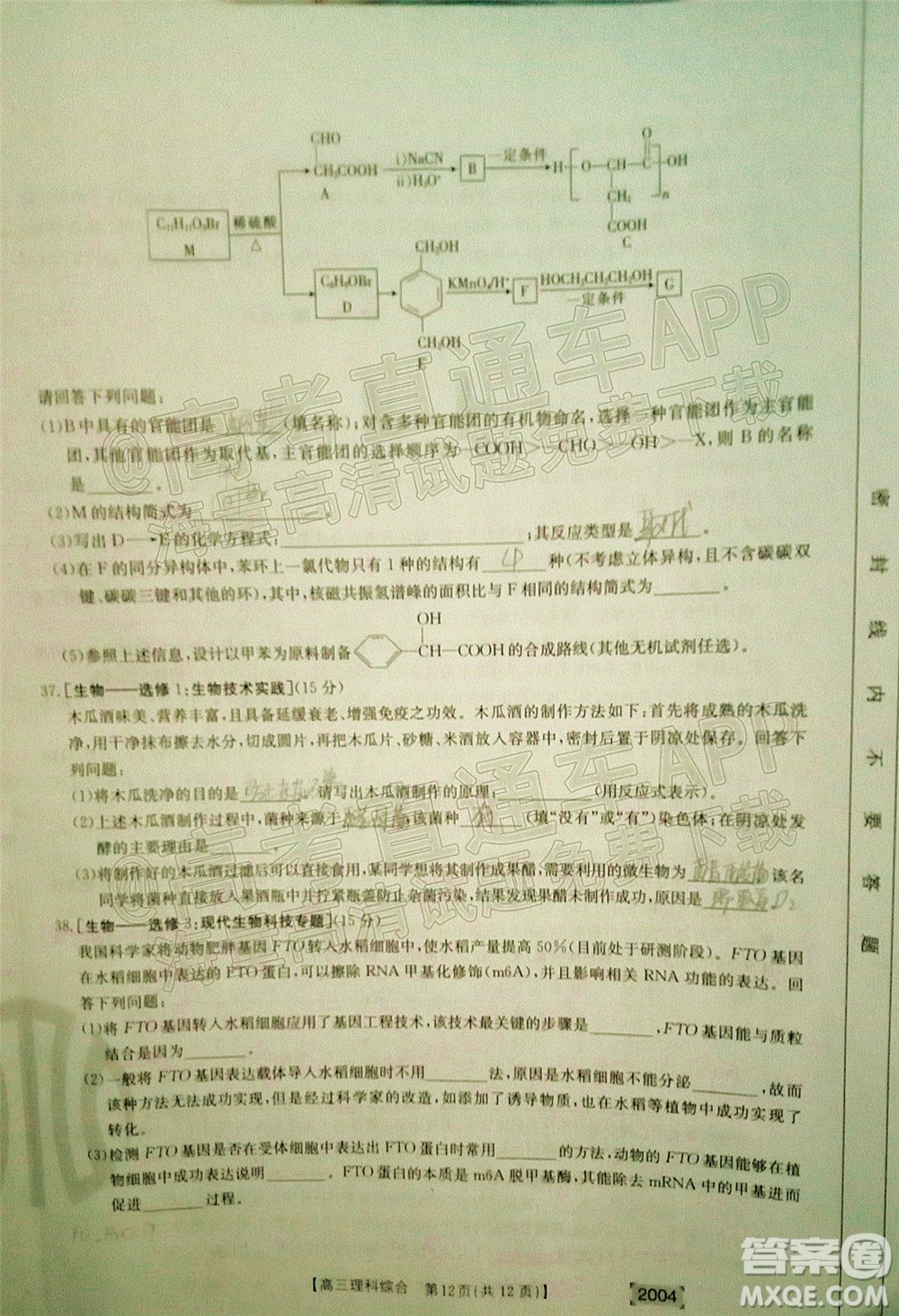 2022屆金太陽(yáng)百萬(wàn)聯(lián)考2004高三理科綜合試題及答案