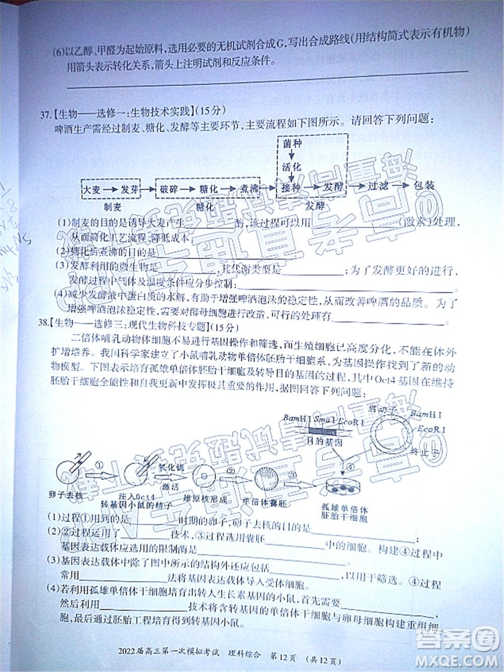 柳州市2022屆高三第一次模擬考試?yán)砜凭C合試題及答案