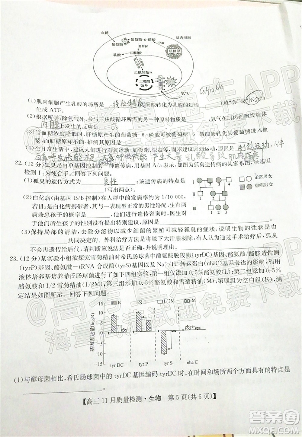 2022屆九師聯(lián)盟高三11月質(zhì)量檢測生物試題及答案