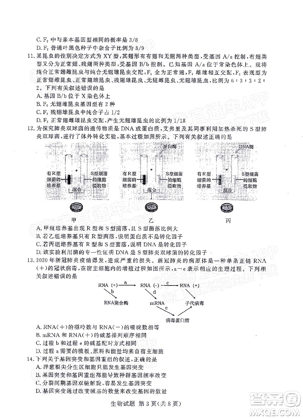 2021年11月湘豫名校聯(lián)考高三生物試題及答案