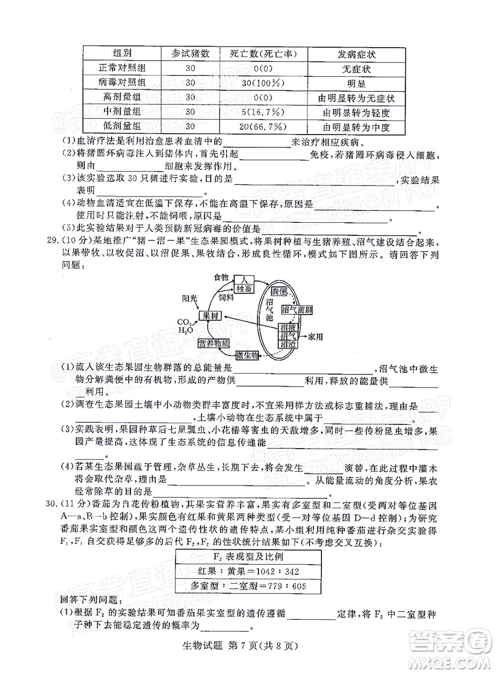 2021年11月湘豫名校聯(lián)考高三生物試題及答案