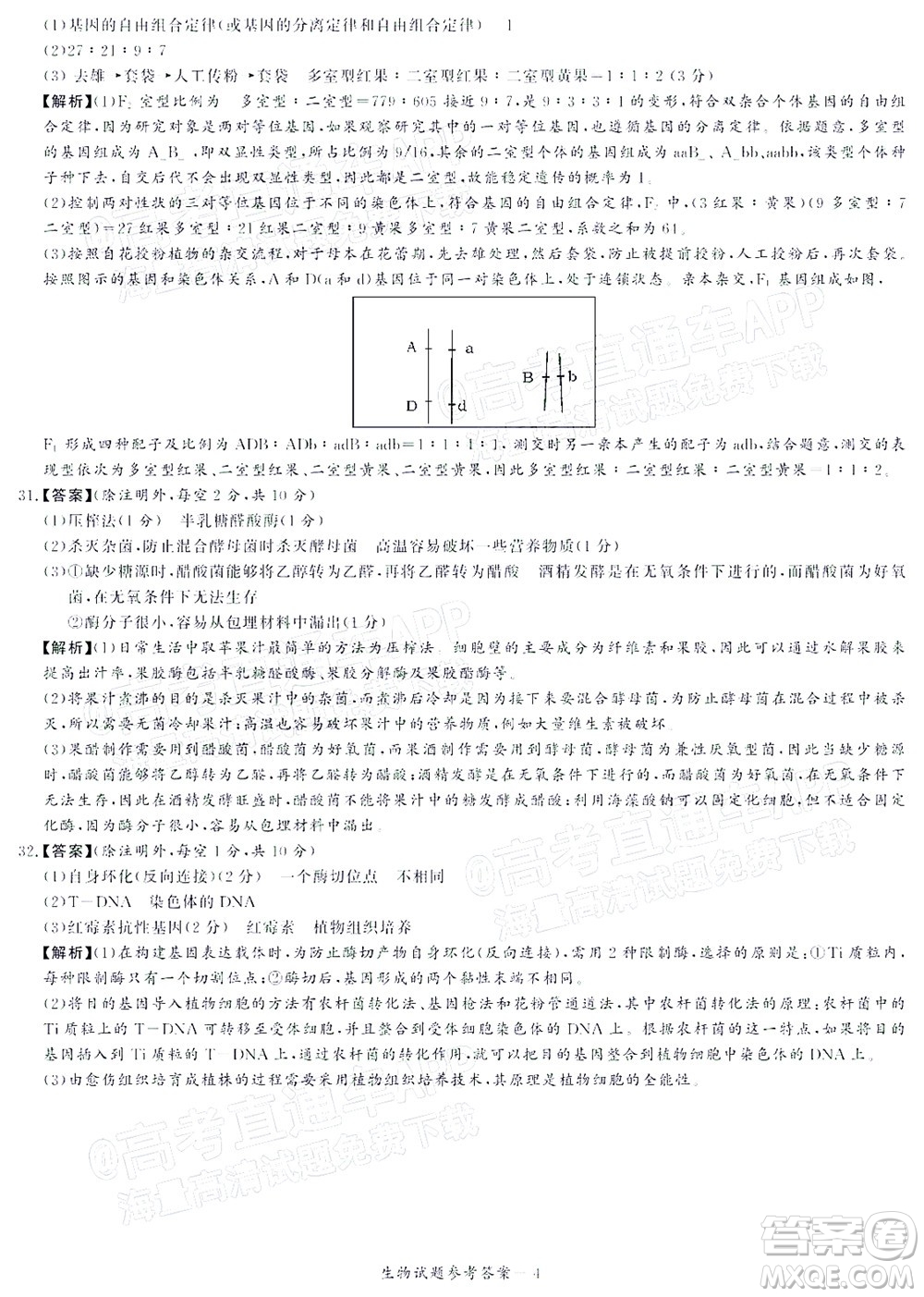 2021年11月湘豫名校聯(lián)考高三生物試題及答案