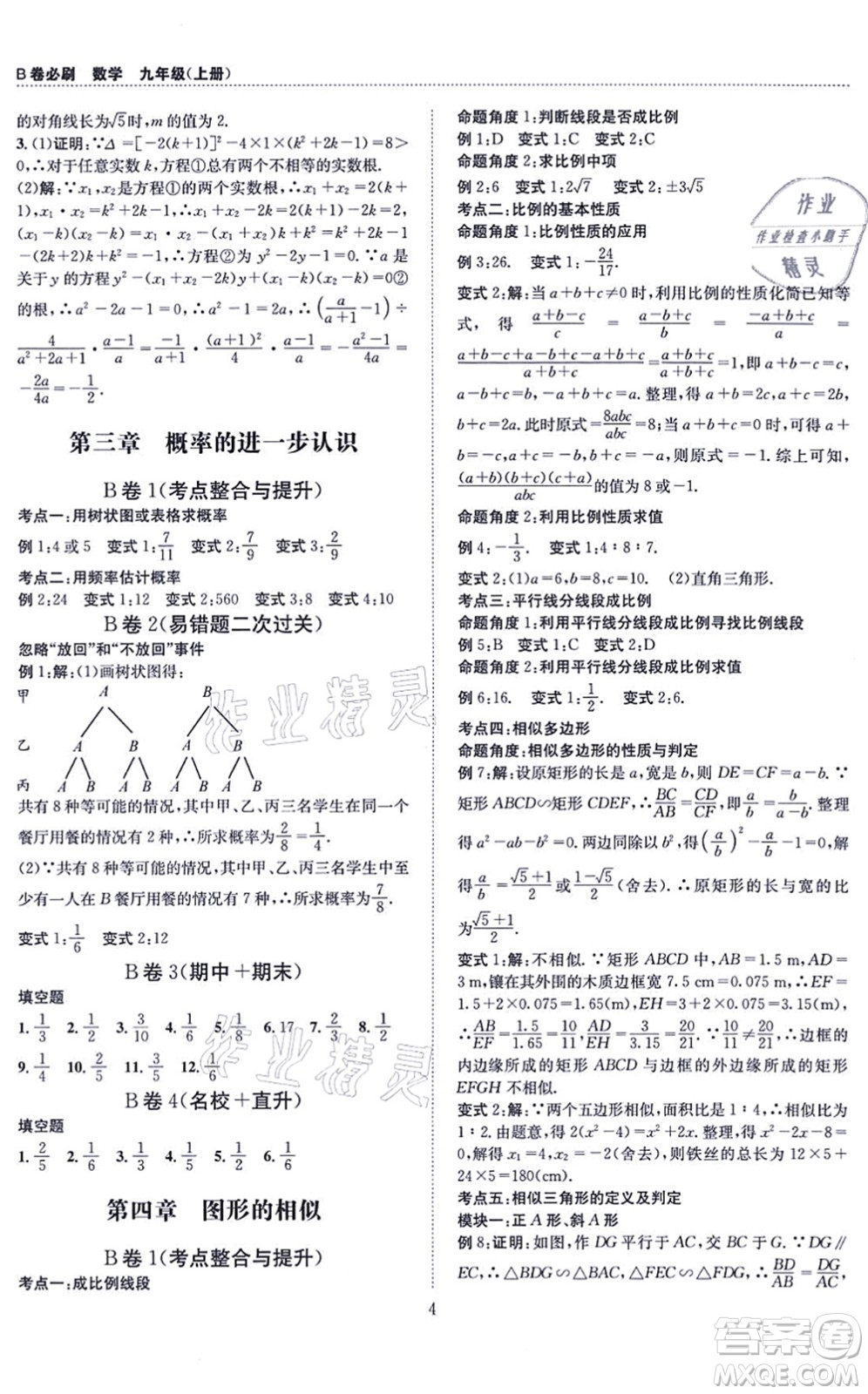 天地出版社2021秋B卷必刷九年級數(shù)學(xué)全一冊BS北師版答案