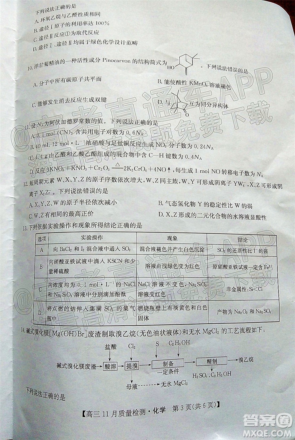 2022屆九師聯(lián)盟高三11月質量檢測化學試題及答案