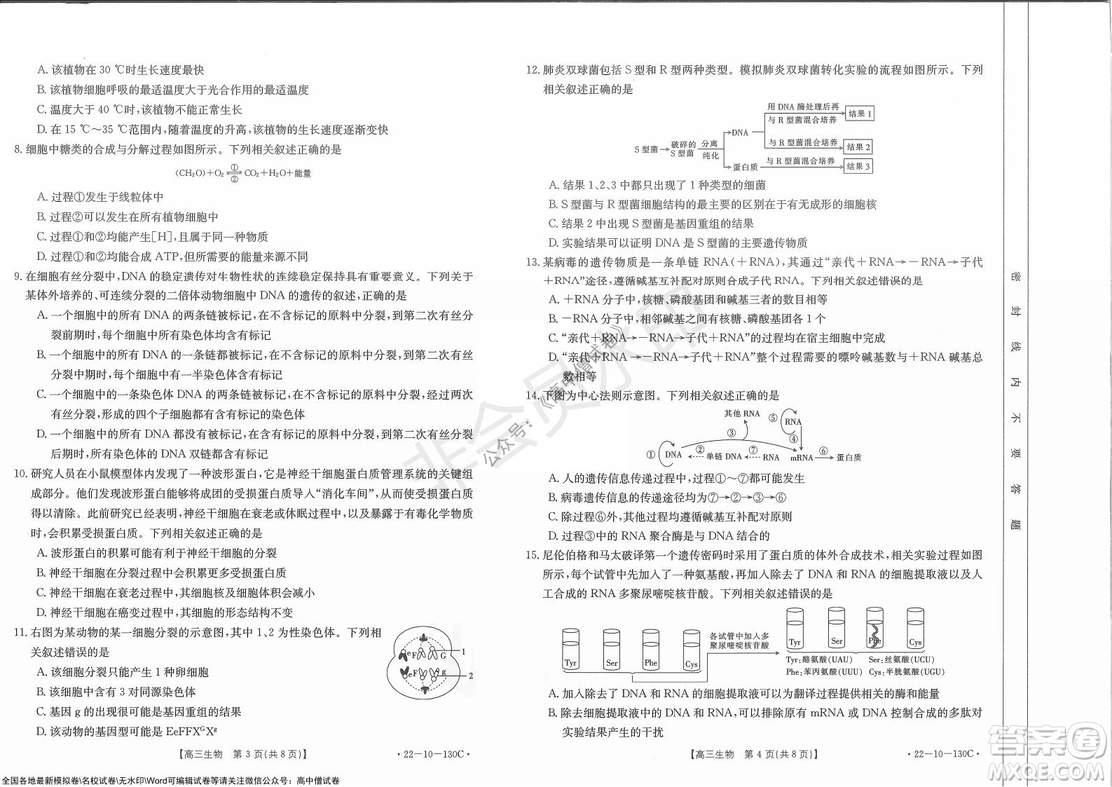 2022屆湖北金太陽11月聯(lián)考高三生物試題及答案