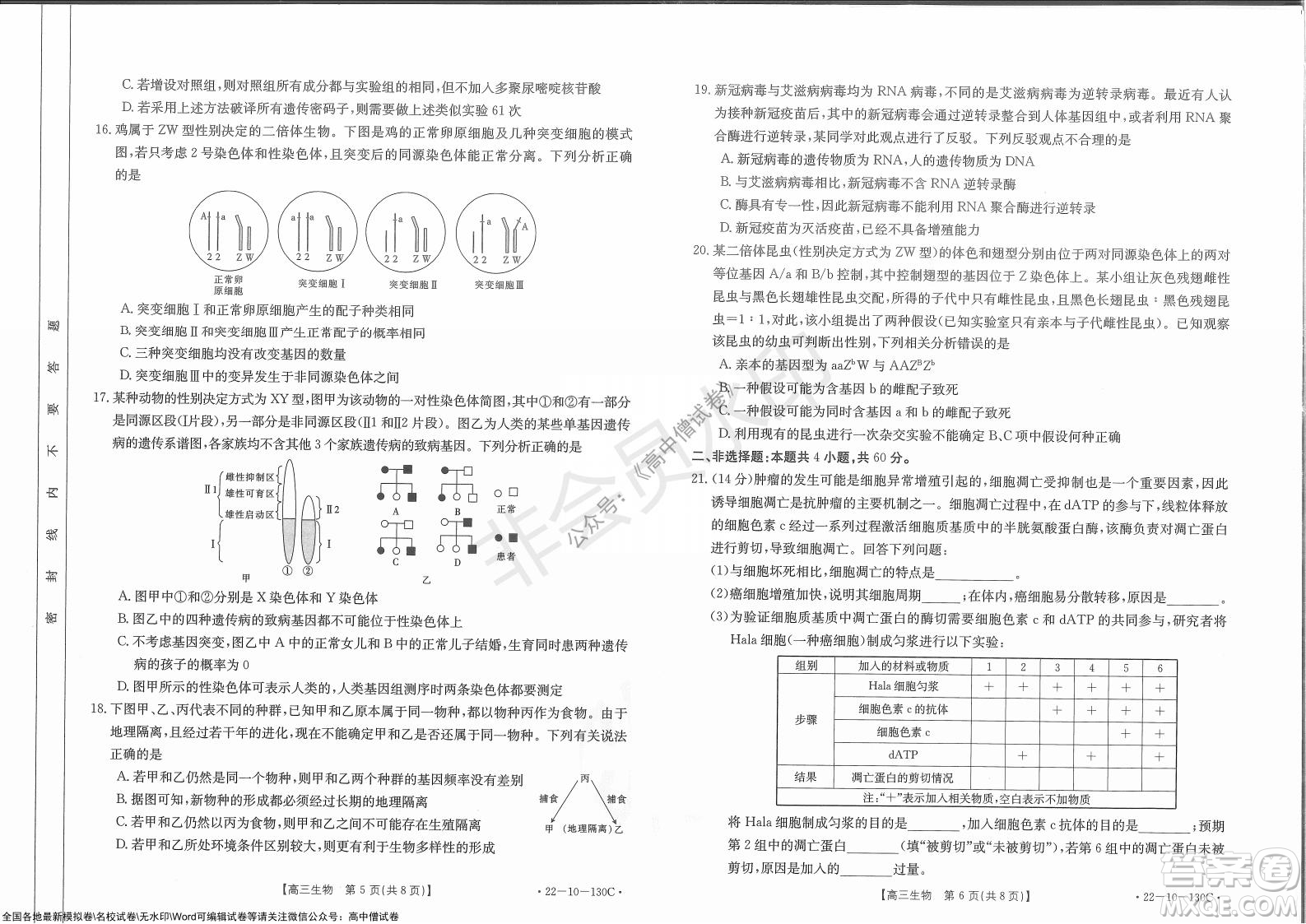 2022屆湖北金太陽11月聯(lián)考高三生物試題及答案