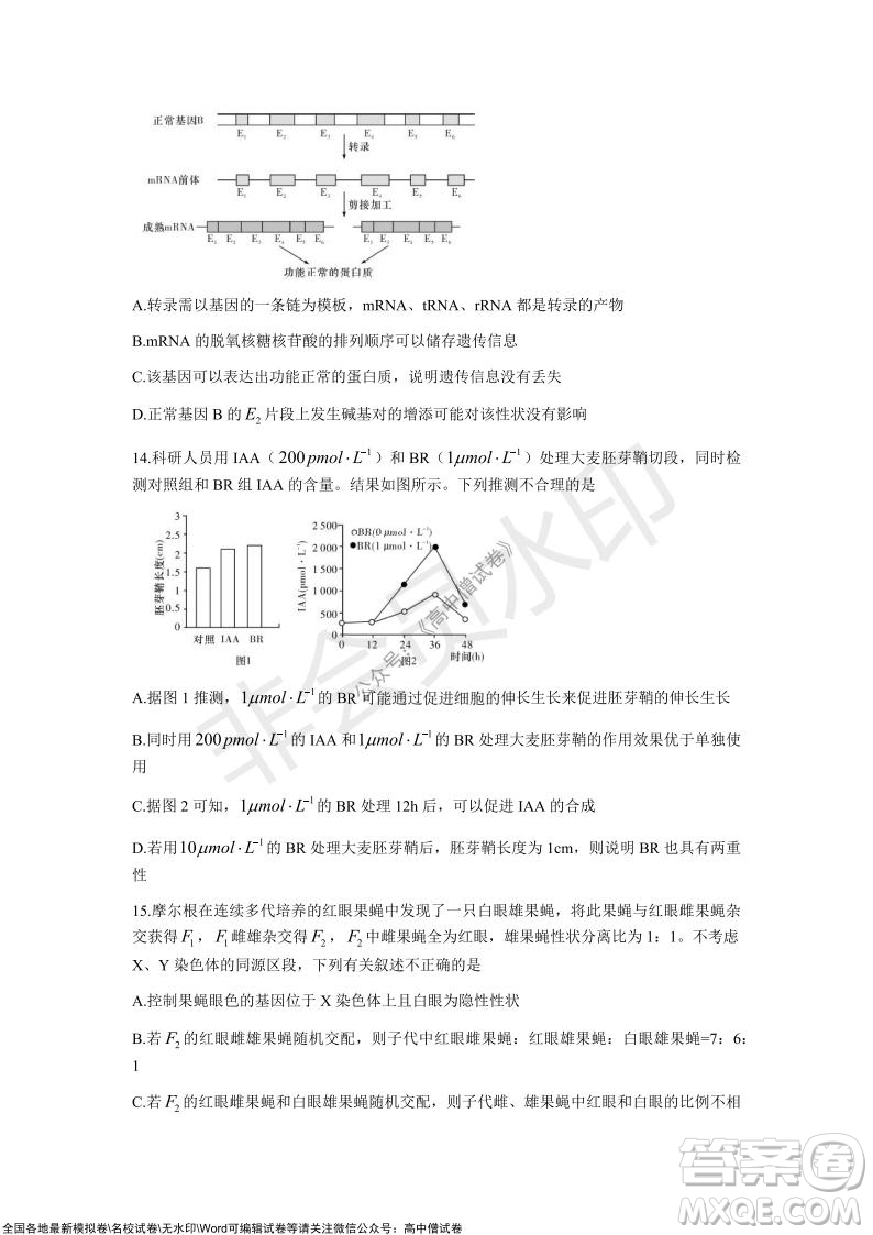 長沙一中深圳實驗學校2022屆高三聯考生物試題及答案