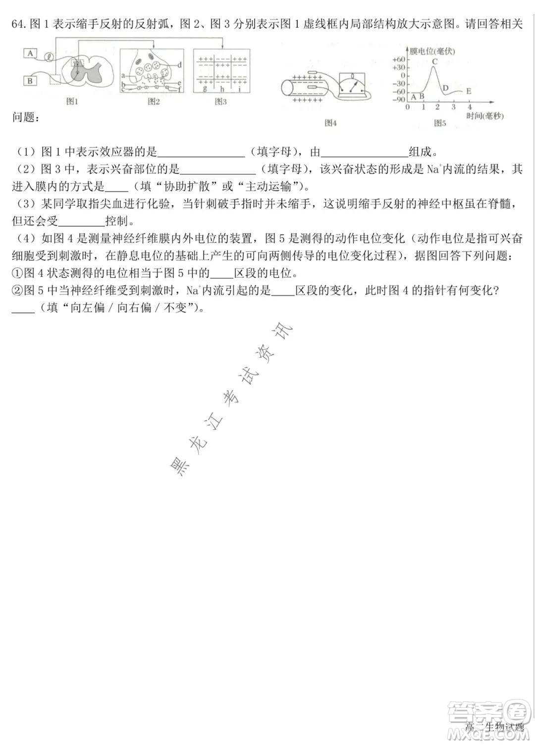 哈爾濱市第六中學(xué)2020級(jí)上學(xué)期期中考試高二生物試題及答案