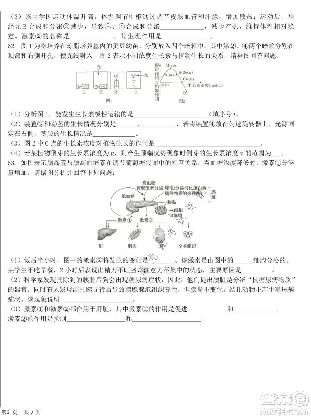 哈爾濱市第六中學(xué)2020級(jí)上學(xué)期期中考試高二生物試題及答案