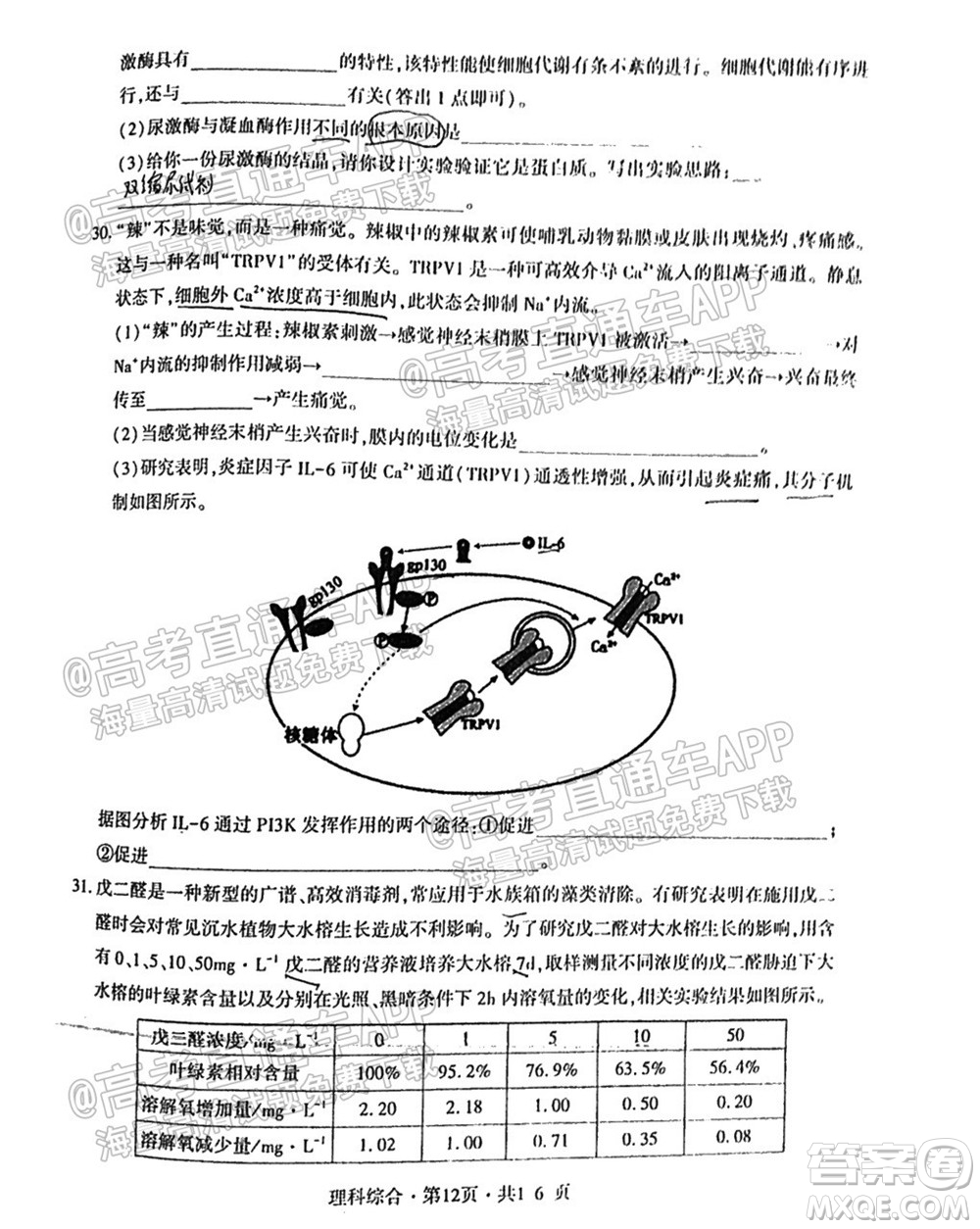 四省八校2022屆高三第一學(xué)期期中質(zhì)量檢測(cè)考試?yán)砜凭C合試題及答案