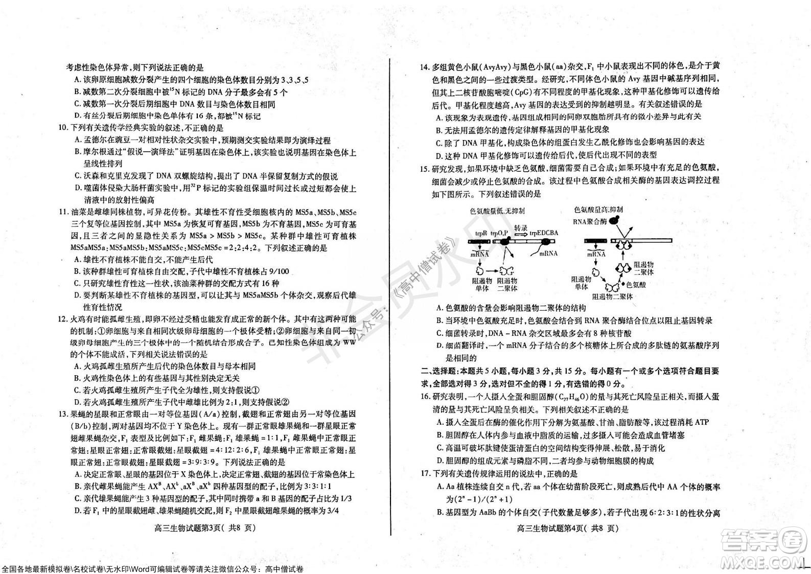 山東煙臺2021-2022學年度第一學期期中學業(yè)水平診斷高三生物試題及答案