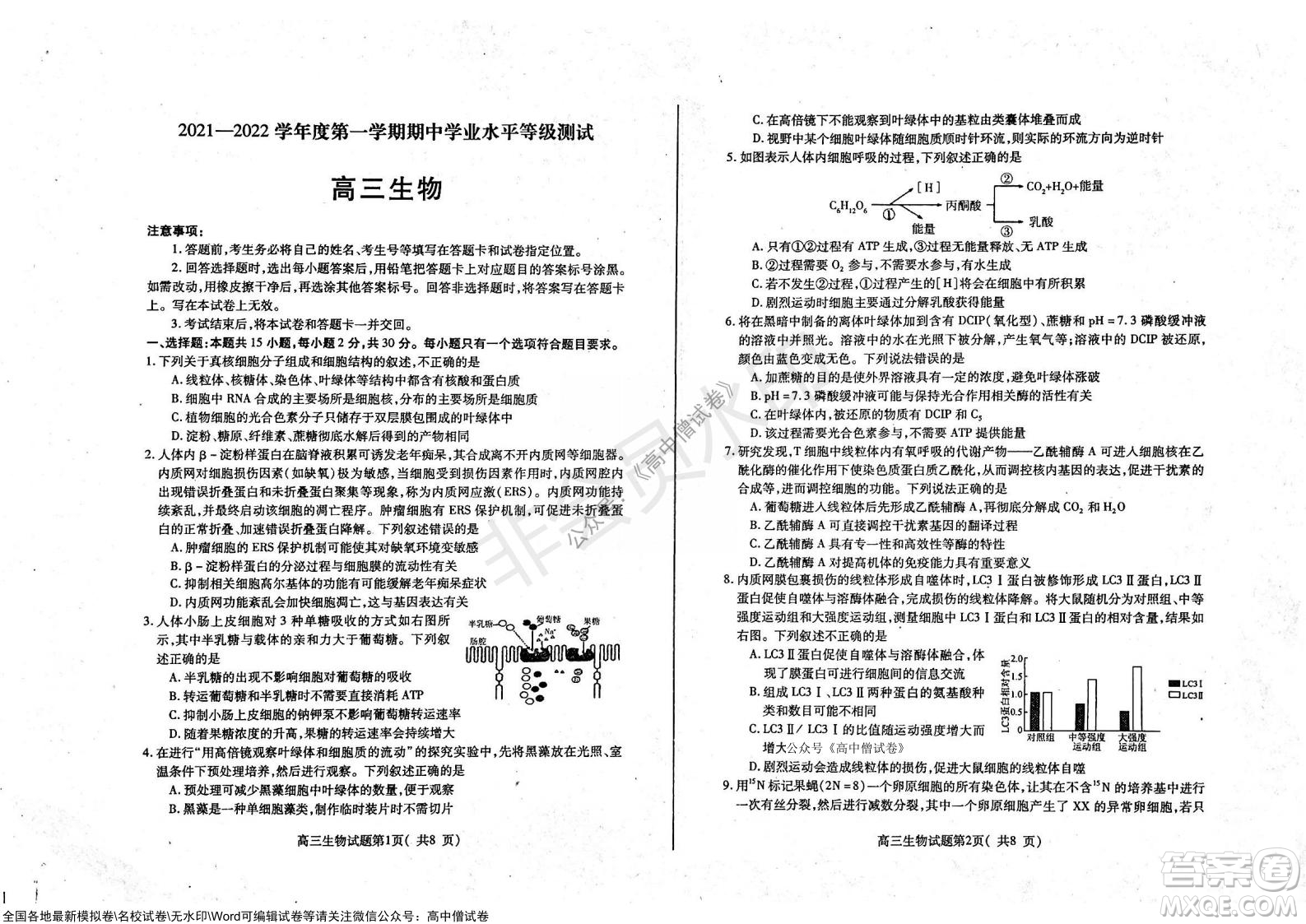 山東煙臺2021-2022學年度第一學期期中學業(yè)水平診斷高三生物試題及答案