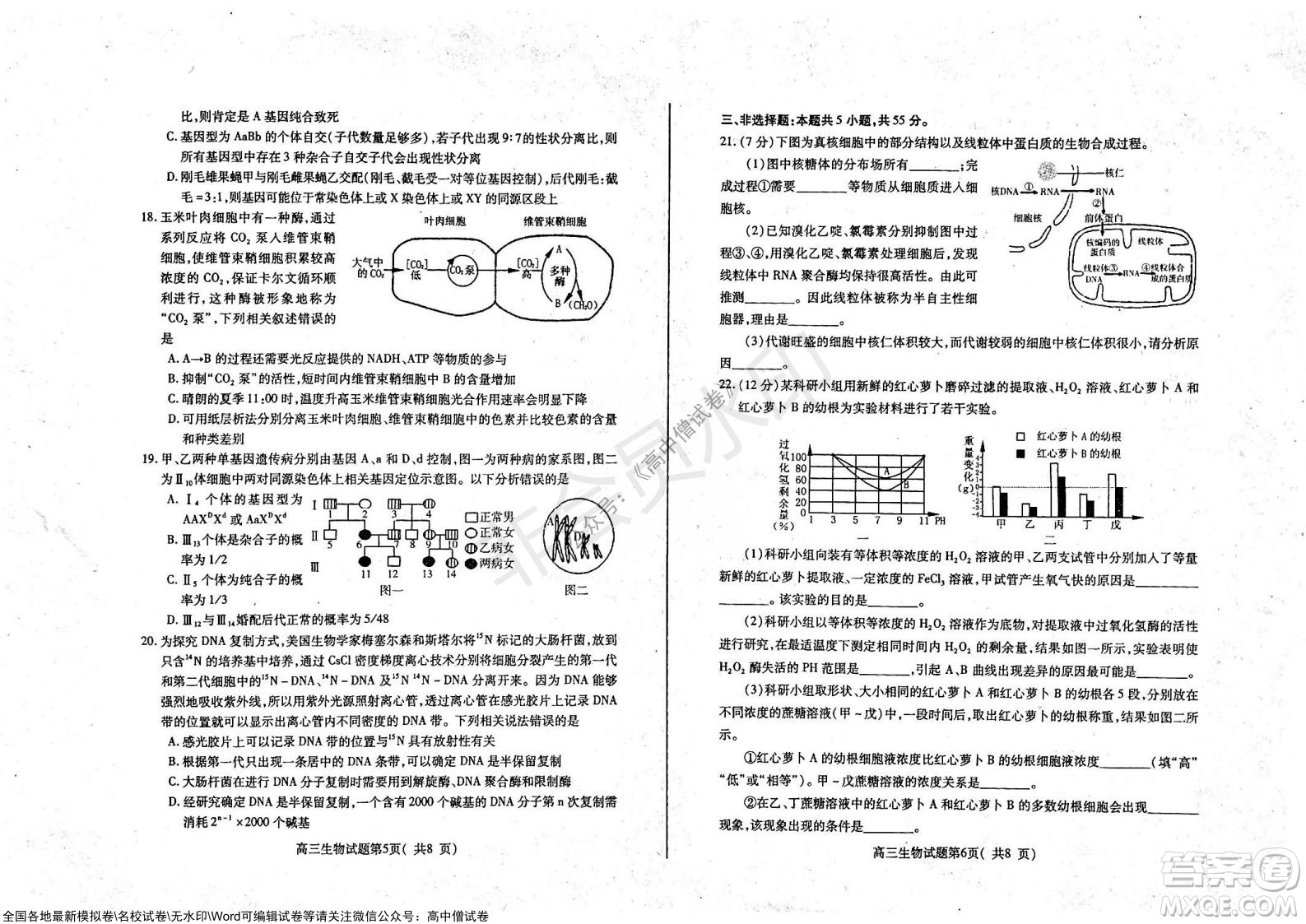 山東煙臺2021-2022學年度第一學期期中學業(yè)水平診斷高三生物試題及答案