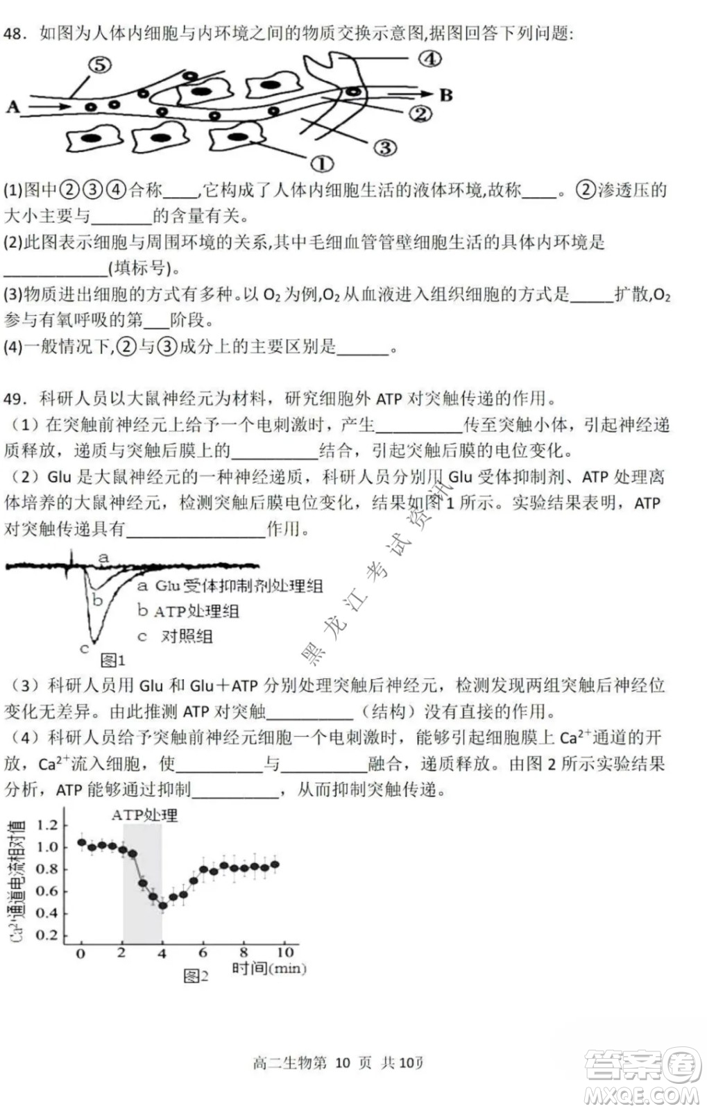 哈三中2021-2022學(xué)年度上學(xué)期高二學(xué)年第一學(xué)段考試生物理科試卷及答案