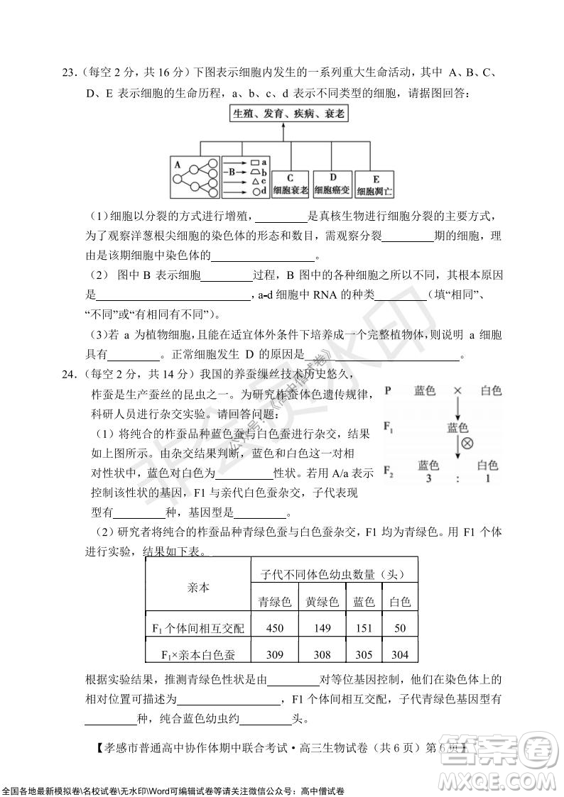 2021-2022學(xué)年度上學(xué)期孝感市普通高中協(xié)作體期中聯(lián)合考試高三生物試卷及答案