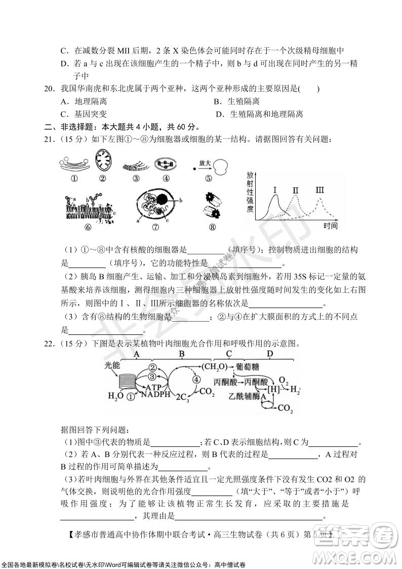 2021-2022學(xué)年度上學(xué)期孝感市普通高中協(xié)作體期中聯(lián)合考試高三生物試卷及答案