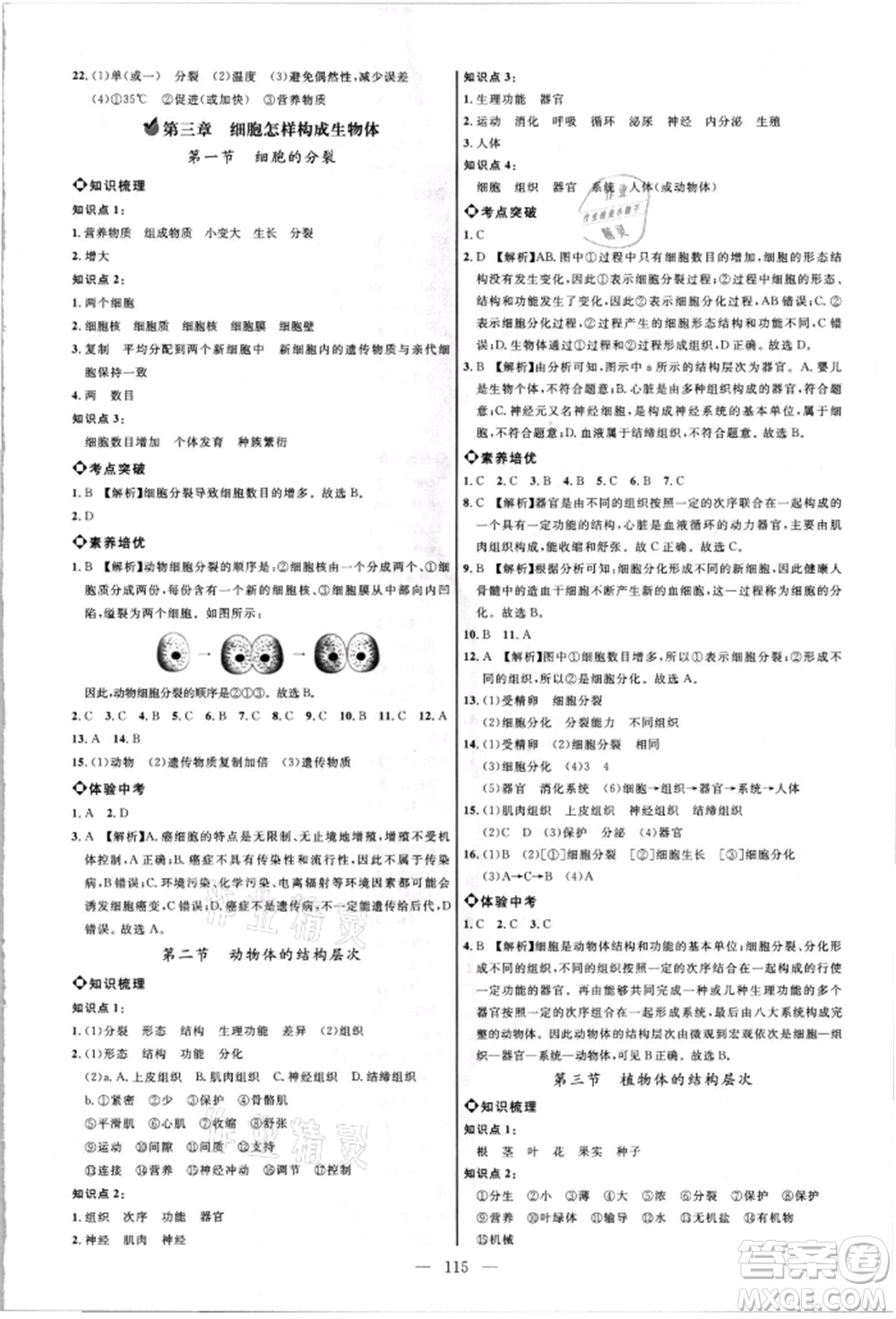 內(nèi)蒙古少年兒童出版社2021細(xì)解巧練六年級(jí)生物上冊(cè)魯教版參考答案