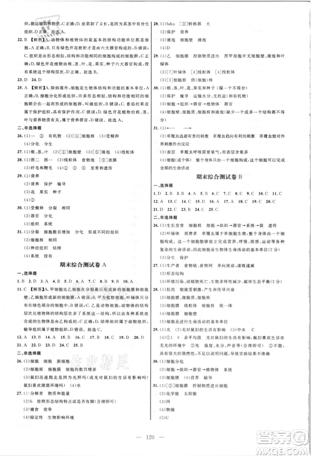 內(nèi)蒙古少年兒童出版社2021細(xì)解巧練六年級(jí)生物上冊(cè)魯教版參考答案