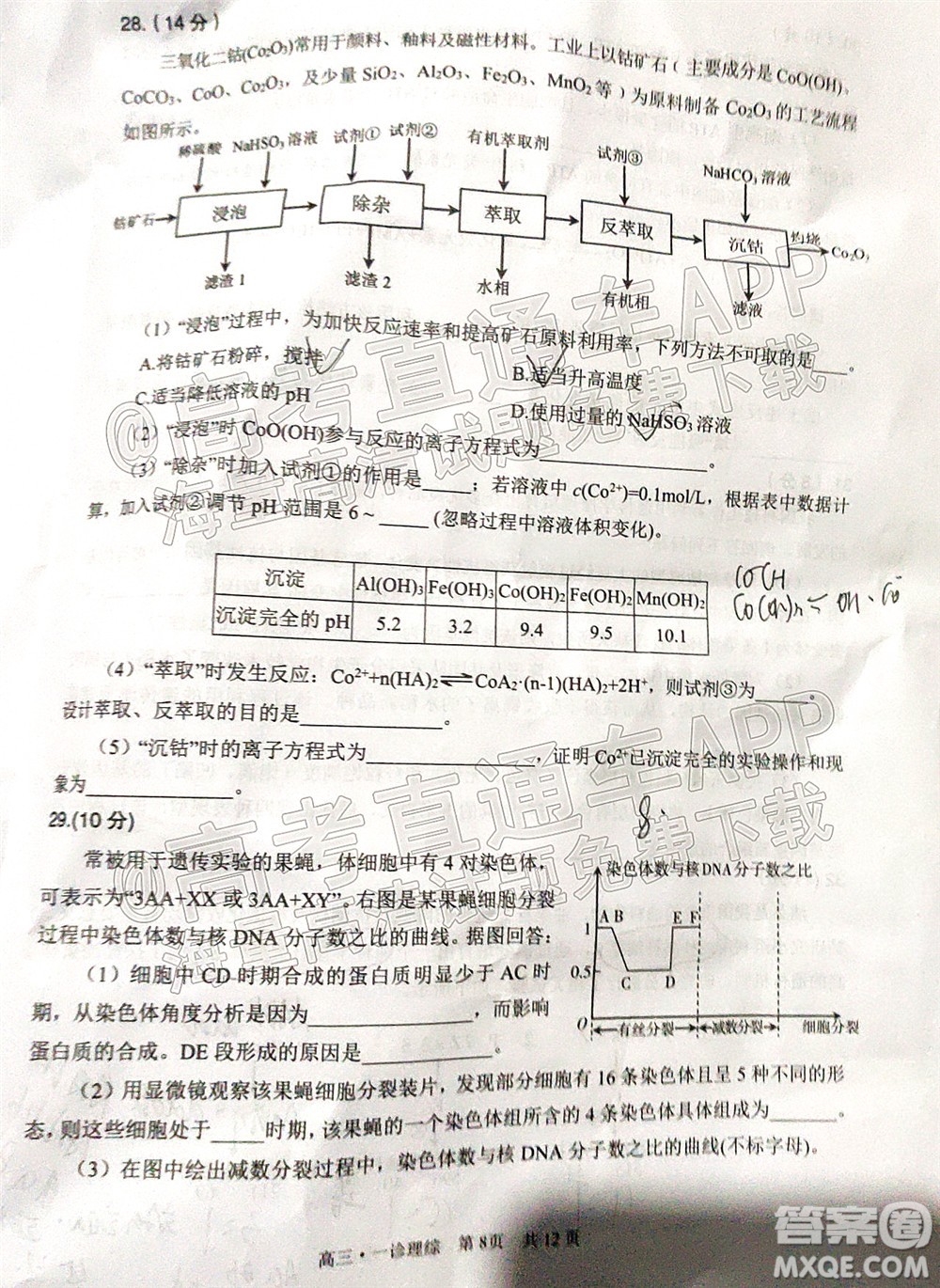 瀘州市高2019級第一次教學(xué)質(zhì)量診斷性考試?yán)砜凭C合試題及答案