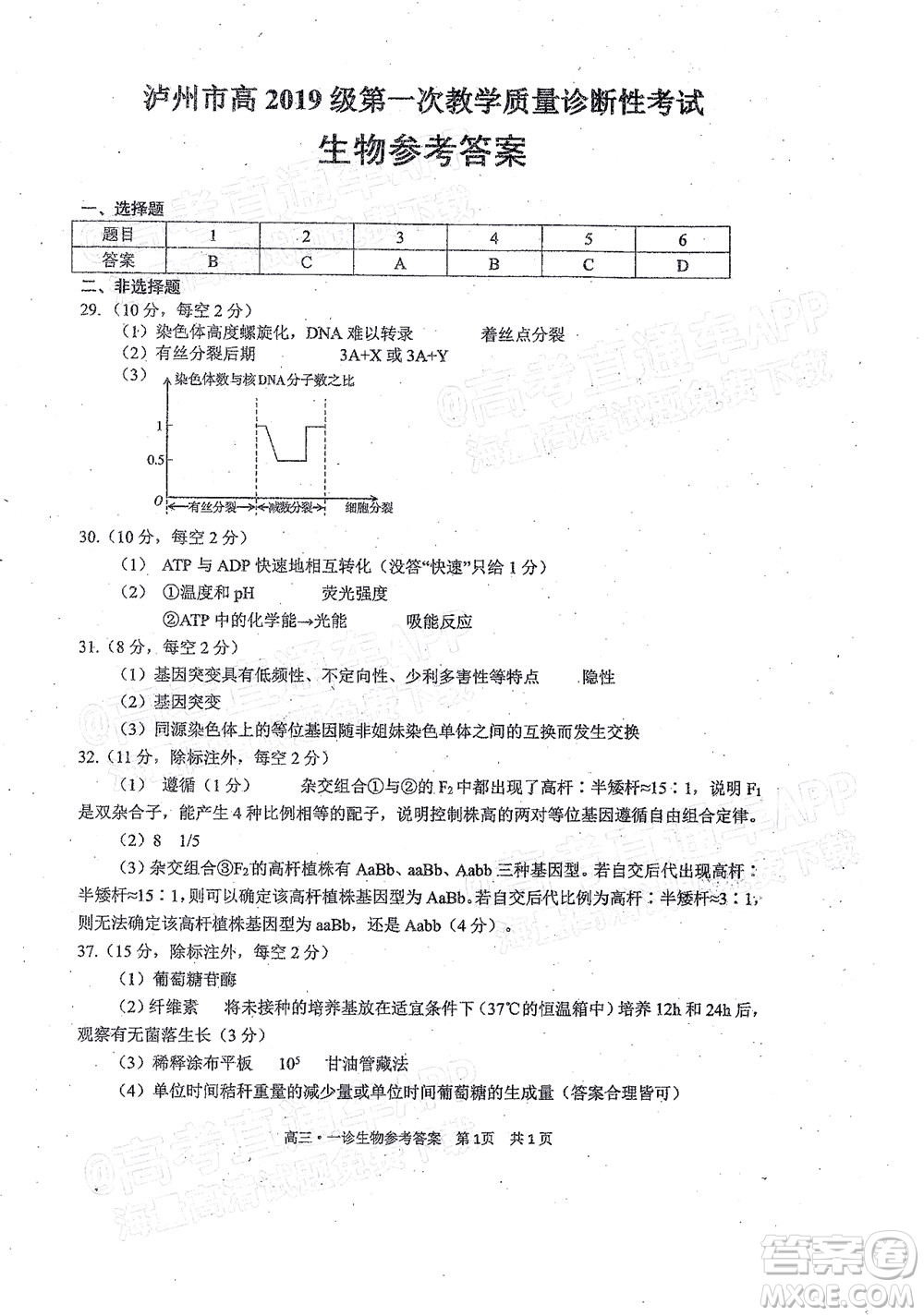 瀘州市高2019級第一次教學(xué)質(zhì)量診斷性考試?yán)砜凭C合試題及答案