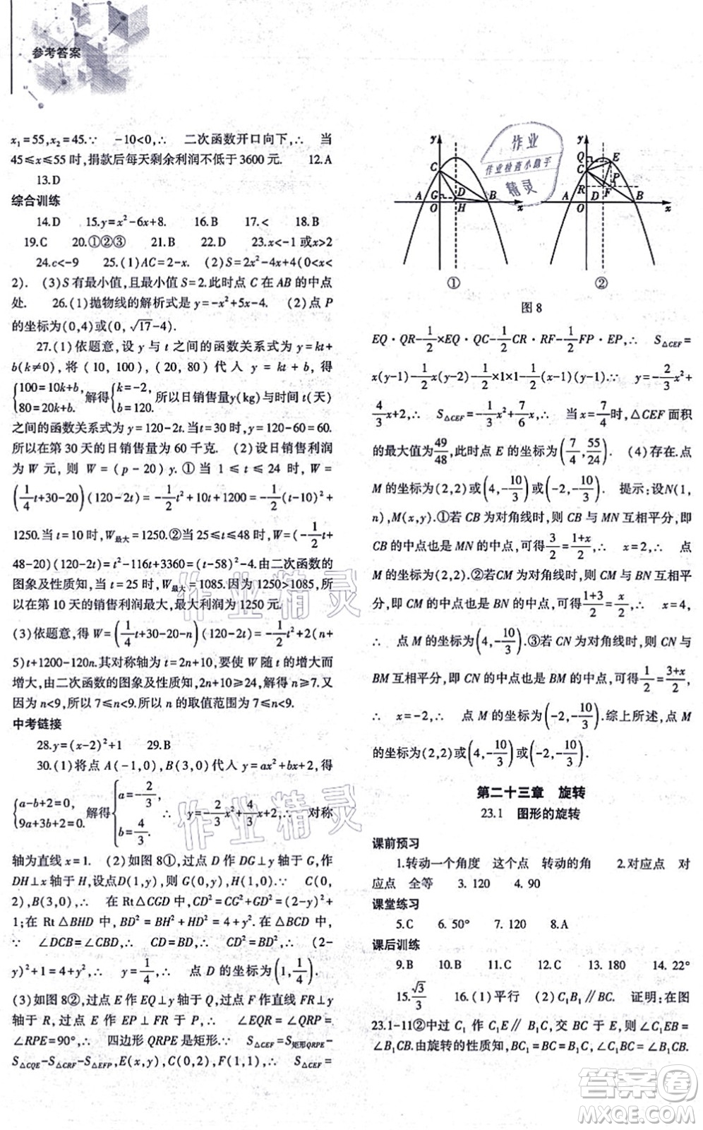 大象出版社2021初中同步練習冊九年級數(shù)學上冊人教版答案