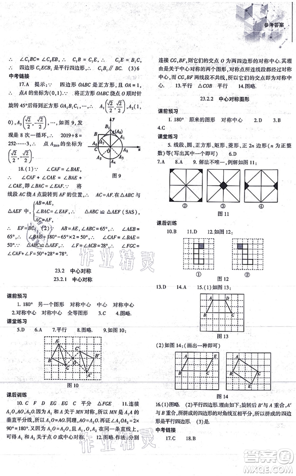 大象出版社2021初中同步練習冊九年級數(shù)學上冊人教版答案