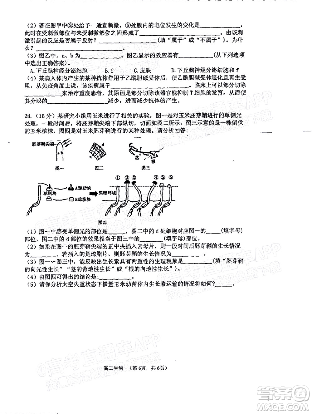 2021年11月平頂山市九校聯(lián)盟中考聯(lián)考試題高二生物試題及答案