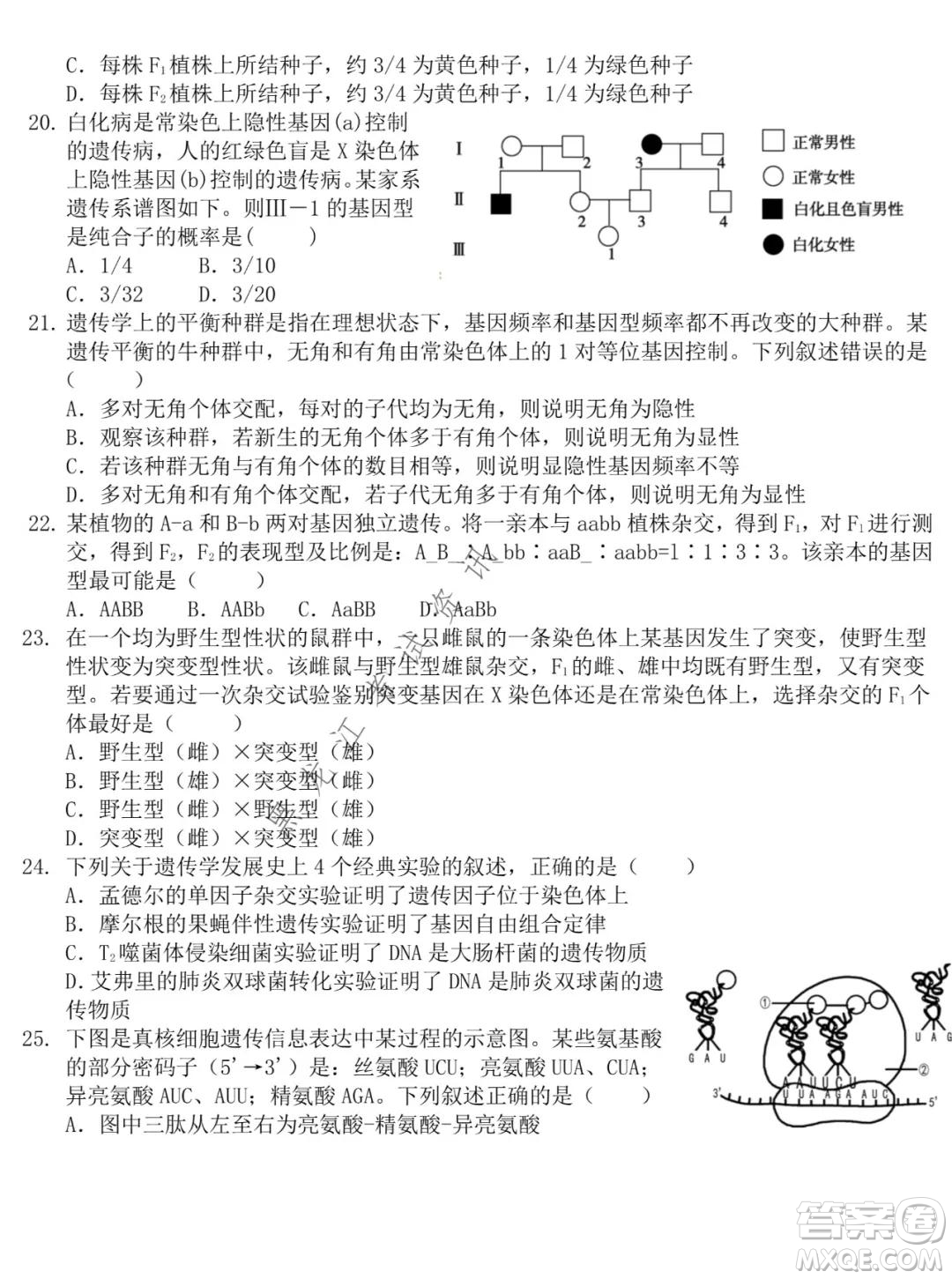 東北師大附中2021-2022高三上學(xué)期第二次摸底考試生物試題及答案