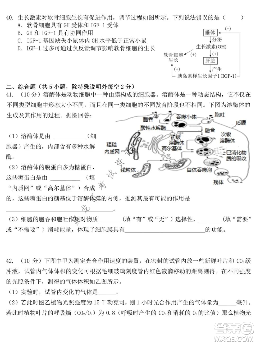 東北師大附中2021-2022高三上學(xué)期第二次摸底考試生物試題及答案