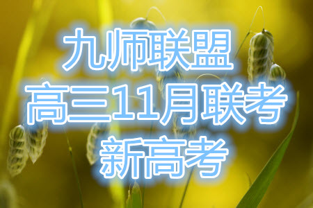 2022屆九師聯(lián)盟高三新高考11月質(zhì)量檢測全科試題及答案