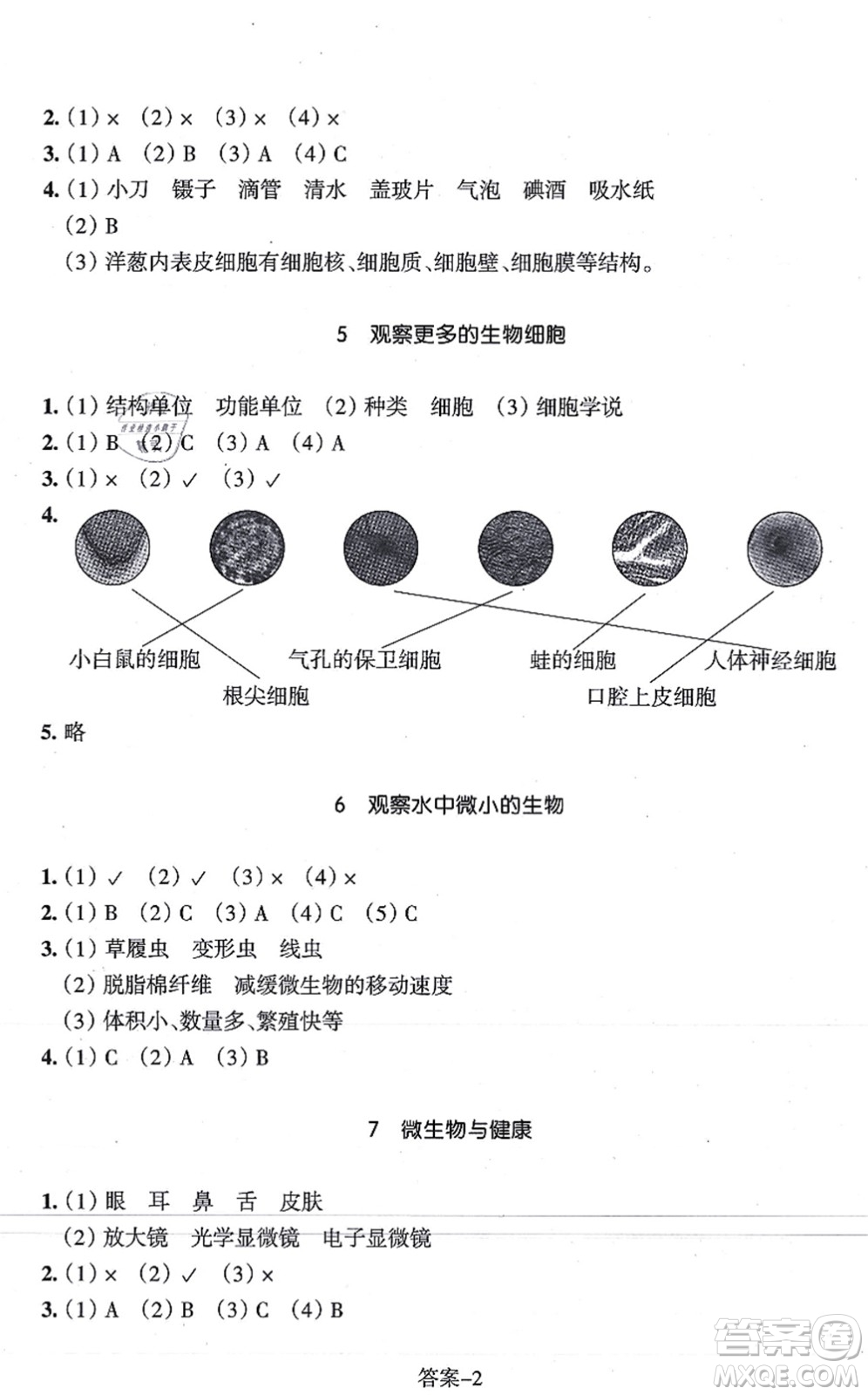 浙江少年兒童出版社2021每課一練六年級(jí)科學(xué)上冊(cè)J教科版答案