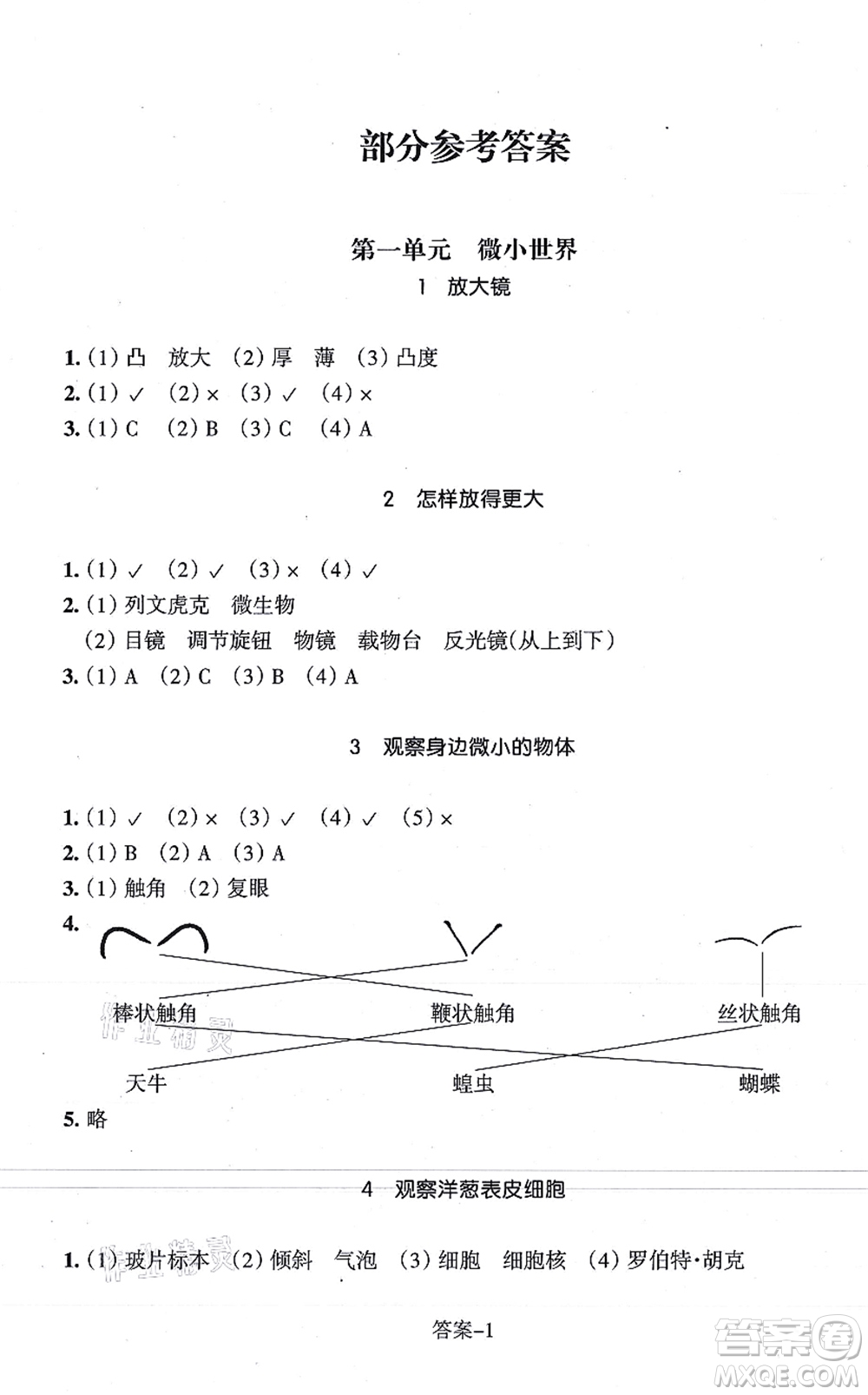 浙江少年兒童出版社2021每課一練六年級(jí)科學(xué)上冊(cè)J教科版答案